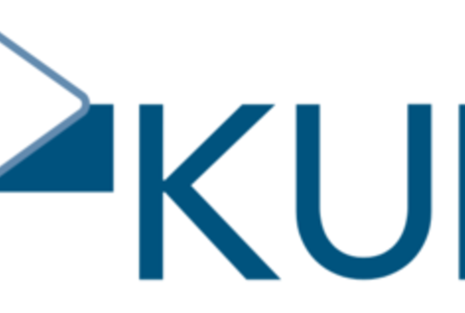 Konfigurationen von gesellschaftlichen und politischen Praktiken im Umgang mit dem radikalen Islam (KURI)